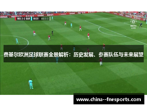 费基尔欧洲足球联赛全景解析：历史发展、参赛队伍与未来展望