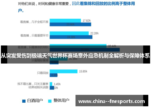 从突发受伤到极端天气世界杯赛场意外应急机制全解析与保障体系